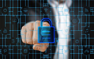 爱游戏电竞-体育特许经营管理制度构建与案例研究，体育行业特有职业培训试点单位